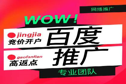 某知名品牌SEM优化托管的策略与成果