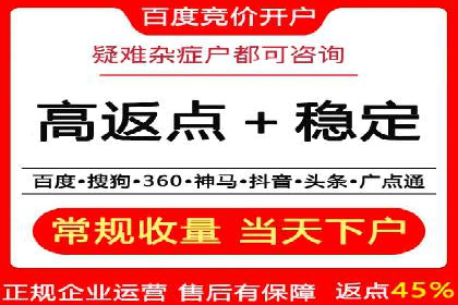 探索SEM代运营公司的经典案例与策略